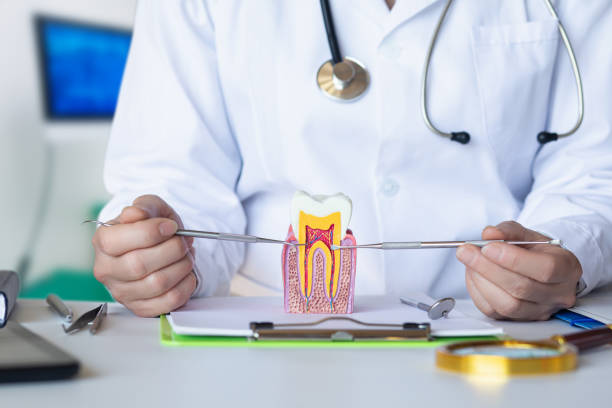 Best Pediatric Emergency Dentist in Chanhassen, MN